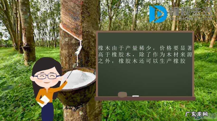 橡胶木属于什么档次? 橡胶木和橡木有什么区别