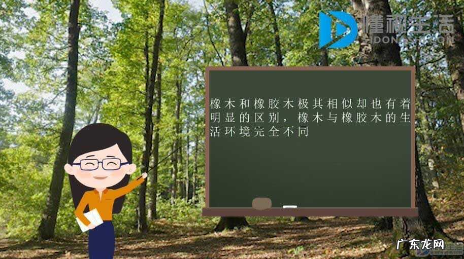 橡胶木属于什么档次? 橡胶木和橡木有什么区别