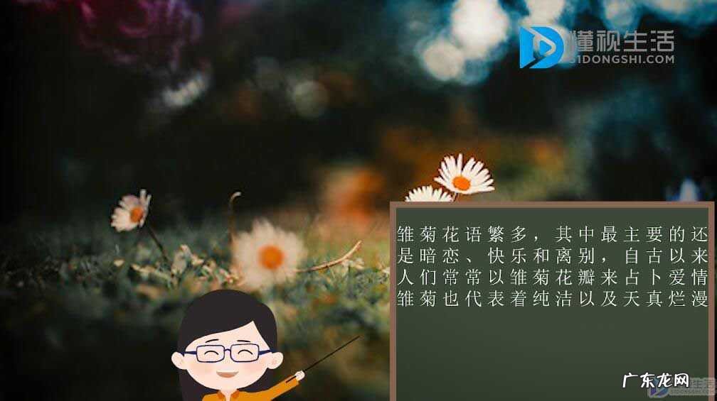 十大不吉利花？ 小雏菊的花语是什么