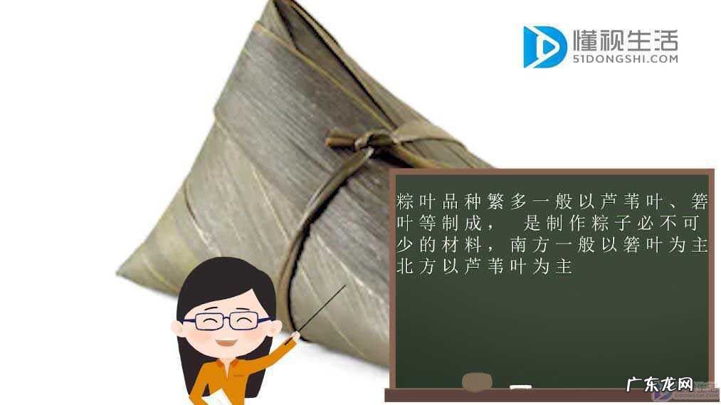 像粽叶一样的植物叫什么? 粽叶是什么叶子