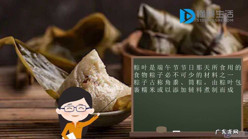像粽叶一样的植物叫什么? 粽叶是什么叶子