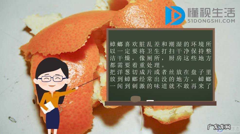 居家蟑螂怎么消灭？ 家里有蟑螂怎样消灭