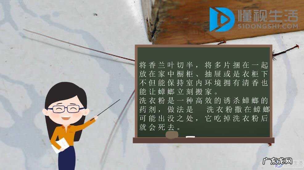 居家蟑螂怎么消灭？ 家里有蟑螂怎样消灭
