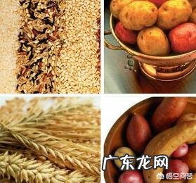 土豆淀粉含量那么多也是减肥食品吗?