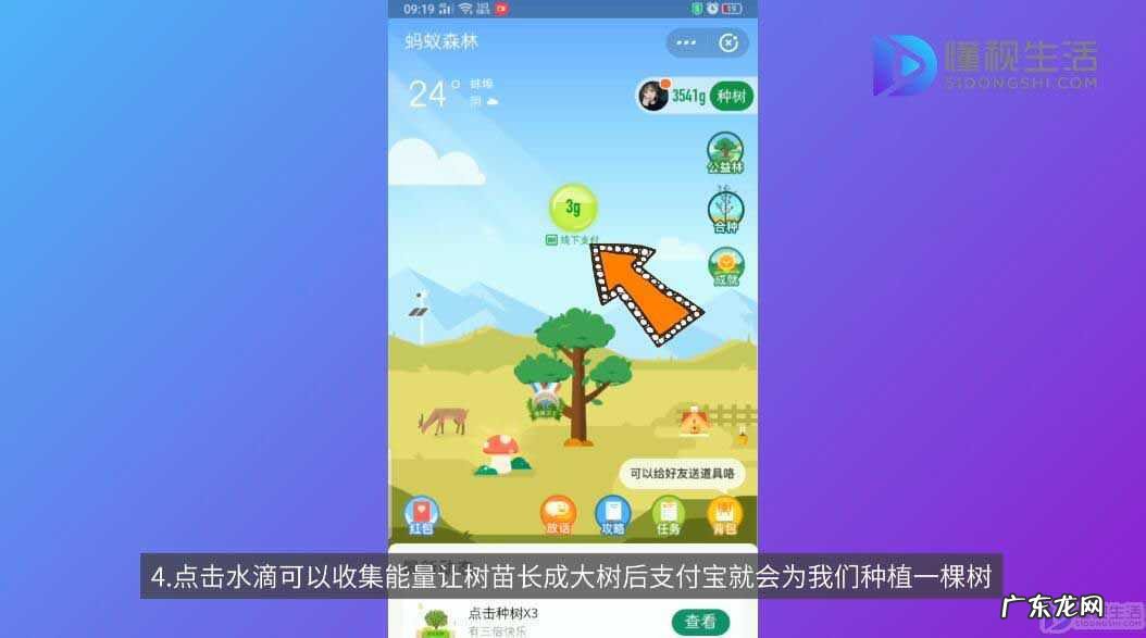 蚂蚁森林30克能量是做了什么？ 蚂蚁森林能量有什么用
