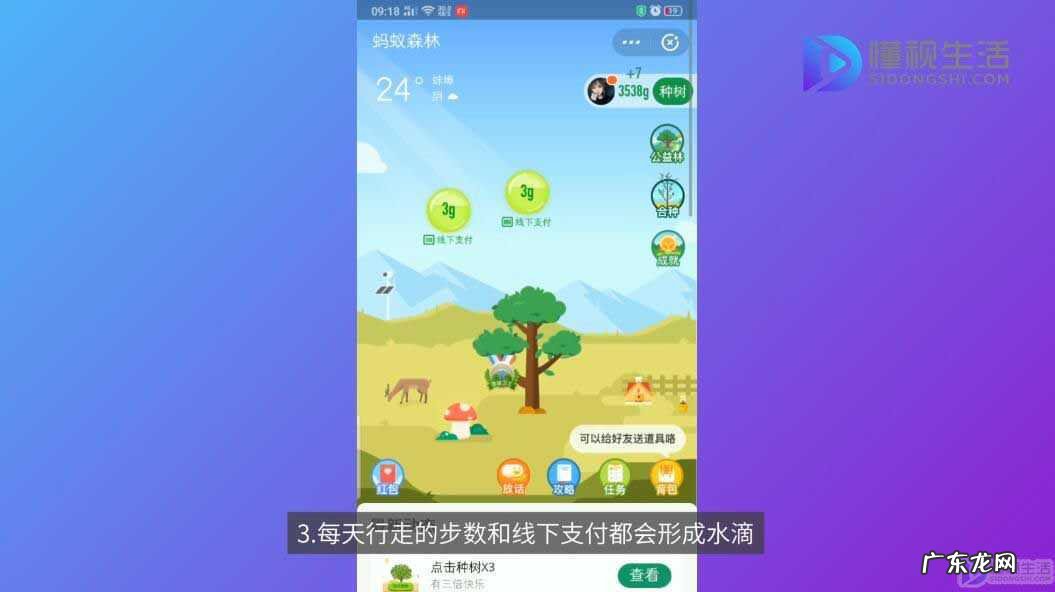 蚂蚁森林30克能量是做了什么？ 蚂蚁森林能量有什么用