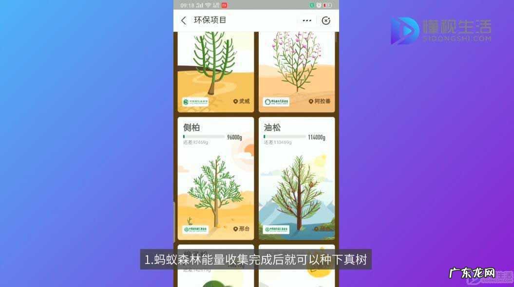 蚂蚁森林30克能量是做了什么？ 蚂蚁森林能量有什么用