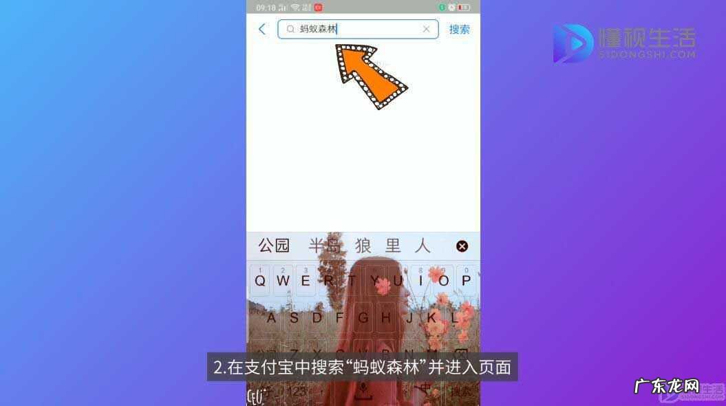 蚂蚁森林30克能量是做了什么？ 蚂蚁森林能量有什么用