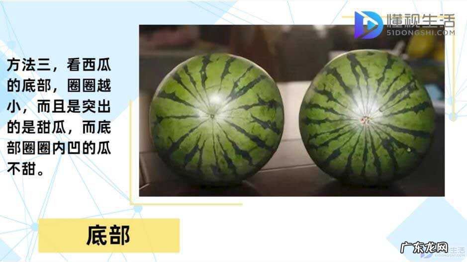 如何挑选西瓜生熟窍门? 如何挑选西瓜