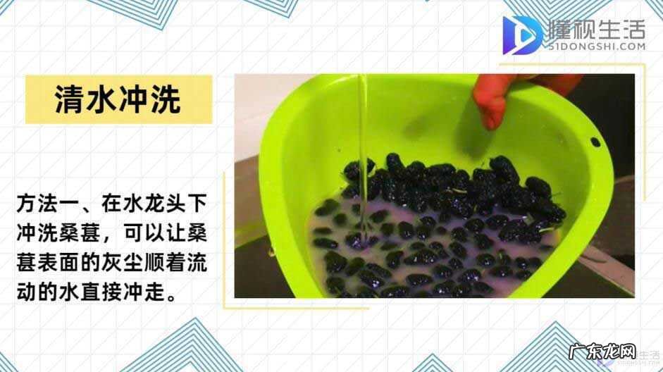 买的桑葚干怎么清洗? 桑葚怎么洗干净