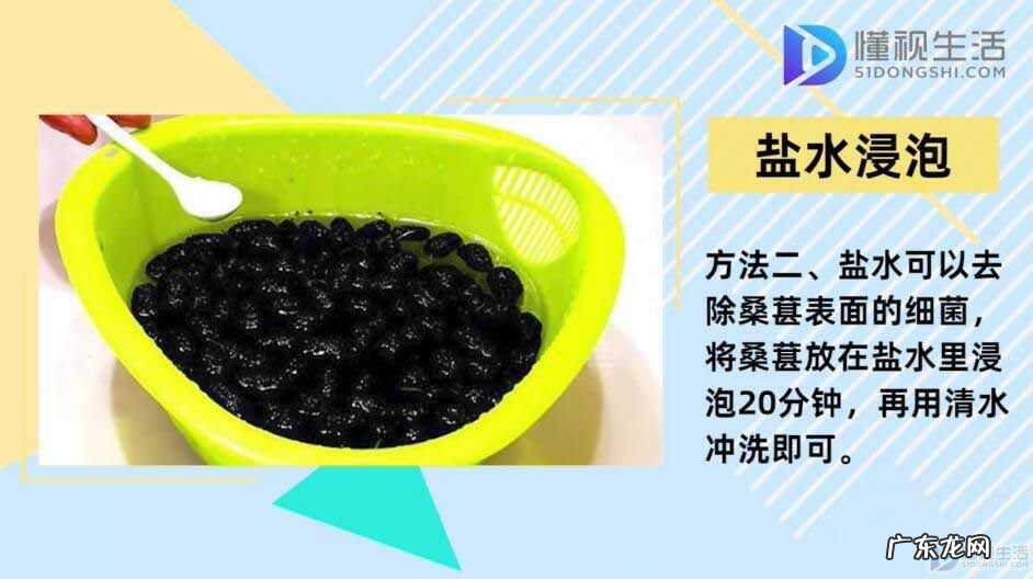 买的桑葚干怎么清洗? 桑葚怎么洗干净