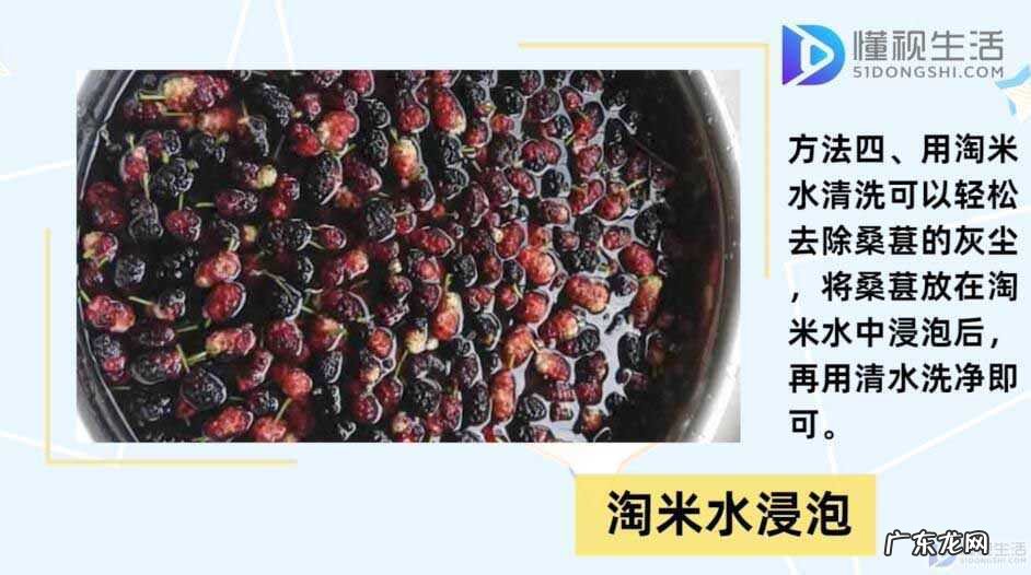 买的桑葚干怎么清洗? 桑葚怎么洗干净
