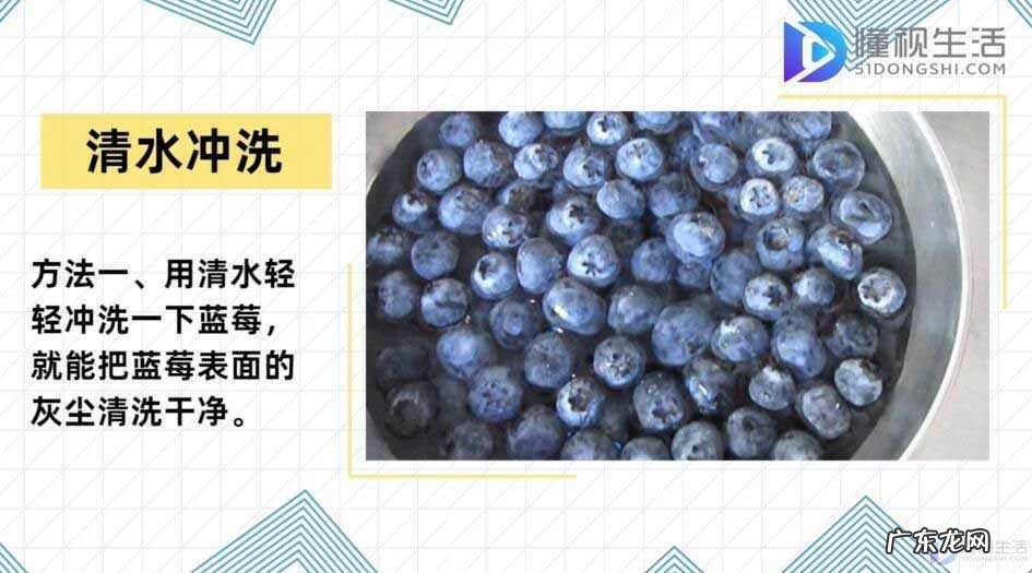 蓝莓一天吃多少为宜? 蓝莓怎么洗才干净