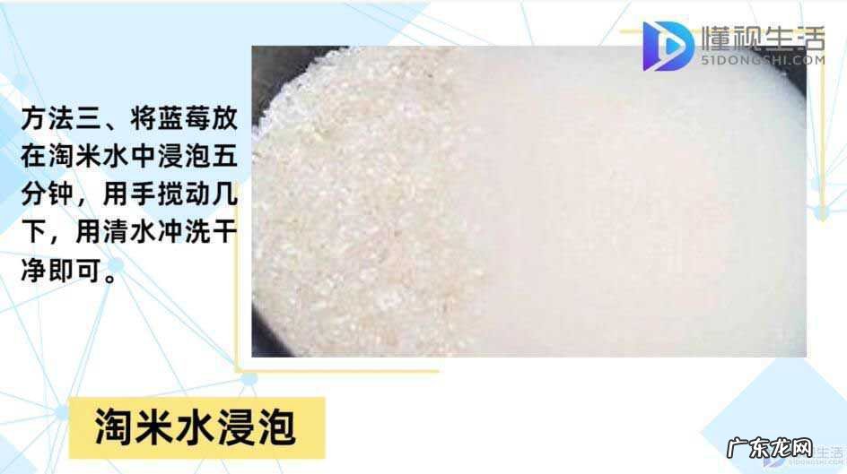 蓝莓一天吃多少为宜? 蓝莓怎么洗才干净