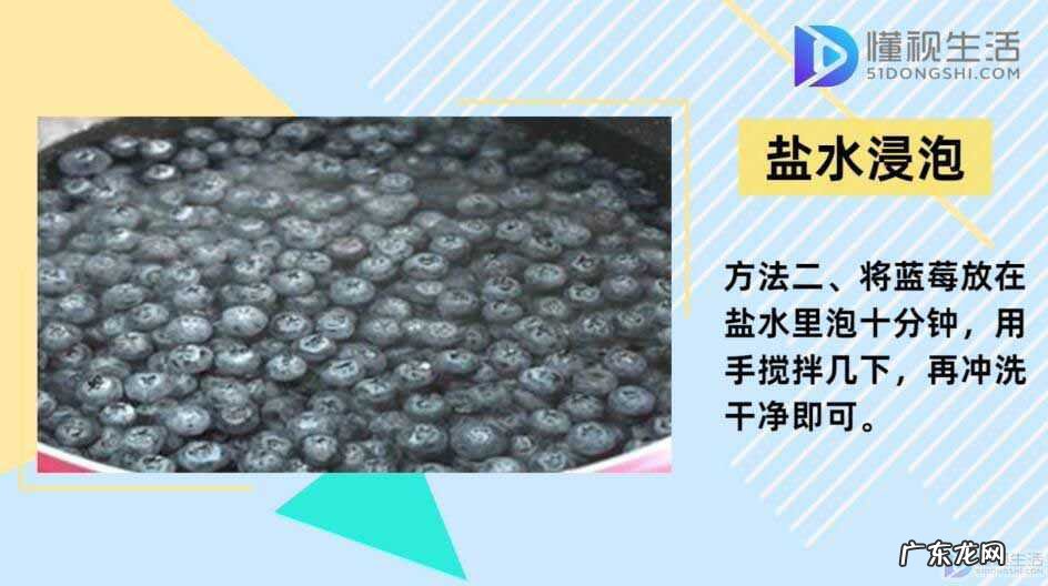 蓝莓一天吃多少为宜? 蓝莓怎么洗才干净