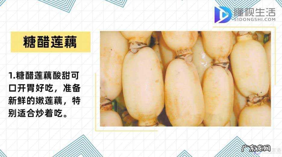 莲藕配什么菜炒? 莲藕怎么炒好吃