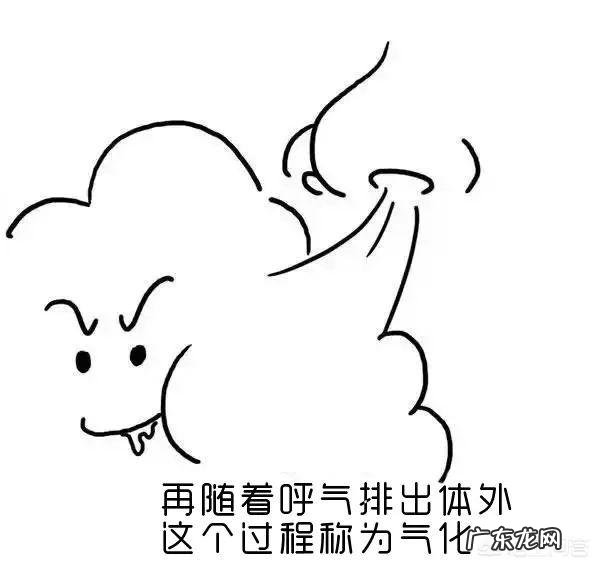 湿气重会导致肥胖吗?该怎么祛湿?