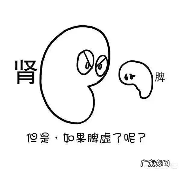 湿气重会导致肥胖吗?该怎么祛湿?