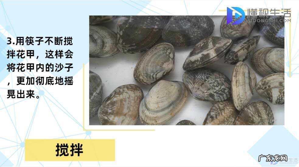 花甲放油吐沙全死了? 花甲怎么清洗