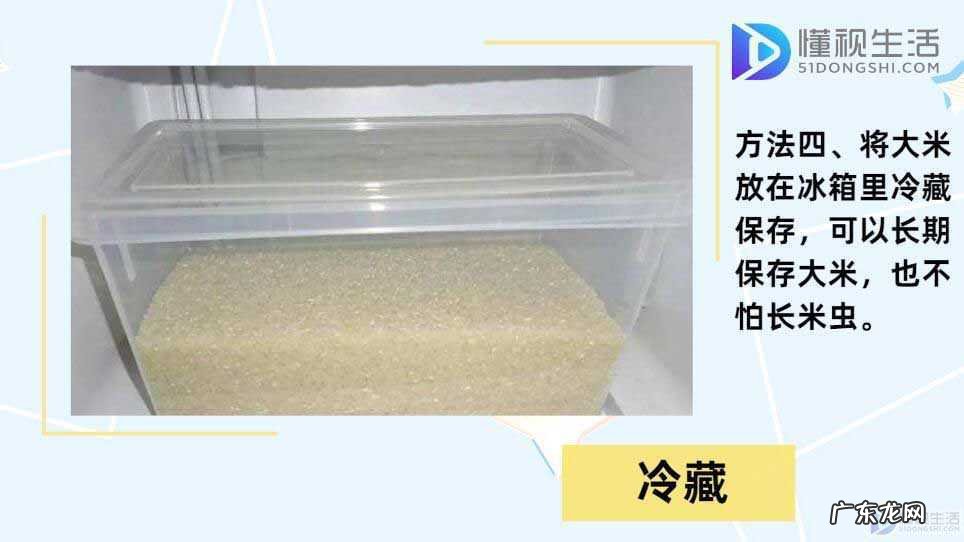 大米冷藏好,还是冷冻好呢？ 怎样保存大米一年不坏