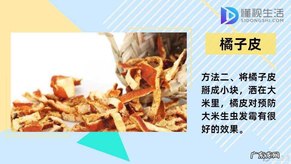 大米冷藏好,还是冷冻好呢？ 怎样保存大米一年不坏