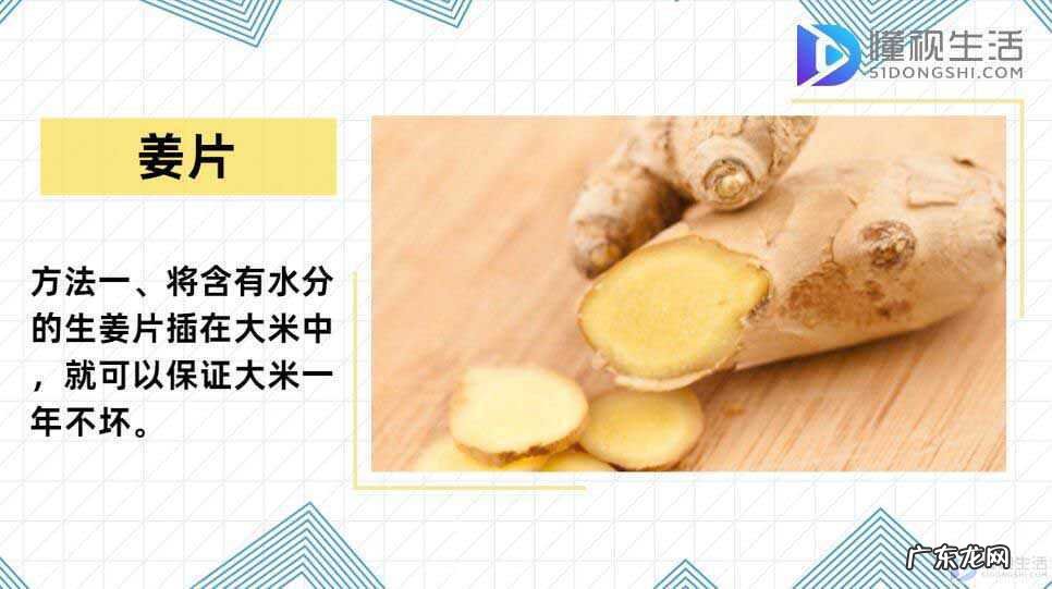 大米冷藏好,还是冷冻好呢？ 怎样保存大米一年不坏