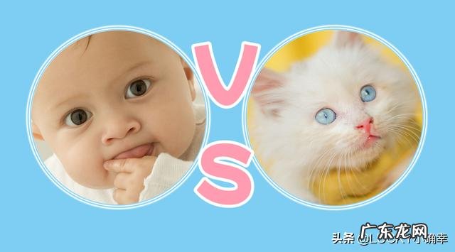 猫咪瘦弱可以吃化毛膏调剂吗?