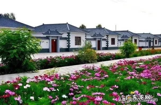 农村的变化真实吗 小时候的农村和长大后的农村有什么变化吗?