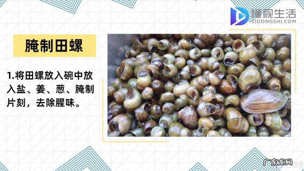 田螺吃哪个部位示范图？ 田螺怎么吃