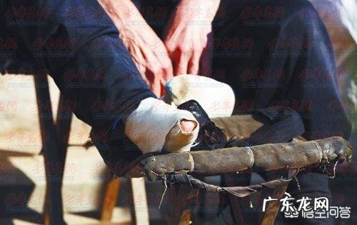 为什么这么多人恶意抹黑中医 为什么近些年有人恶意诋毁中医？