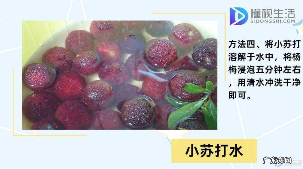 衣服上有了杨梅汁怎么办? 杨梅怎么清洗