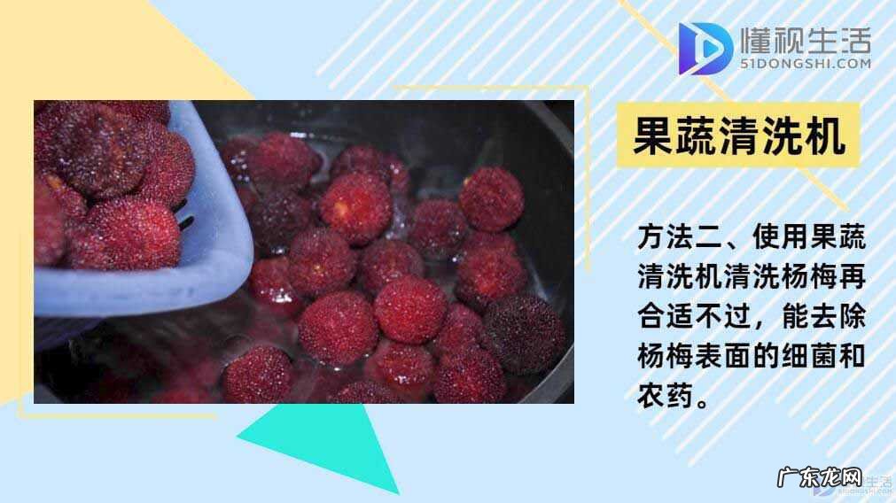 衣服上有了杨梅汁怎么办? 杨梅怎么清洗