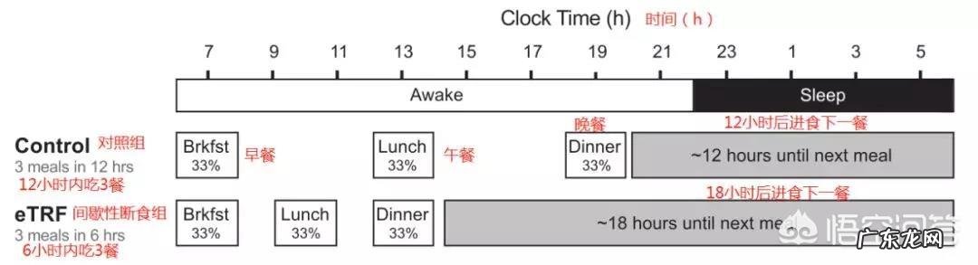 减肥要怎么做?每天节食有效果吗?