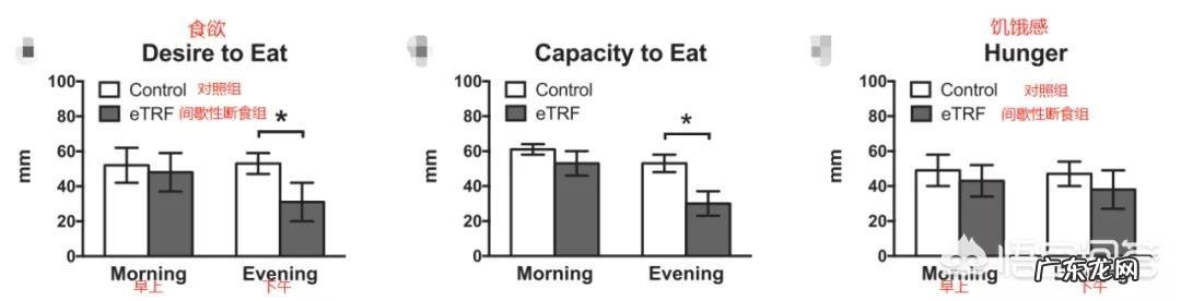 减肥要怎么做?每天节食有效果吗?