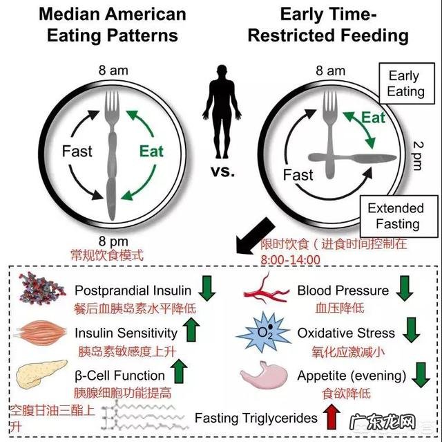 减肥要怎么做?每天节食有效果吗?