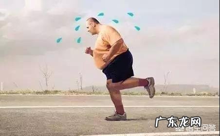 减肥要怎么做?每天节食有效果吗?