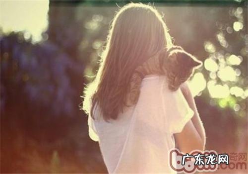 猫咪忽然不让抱怎么办