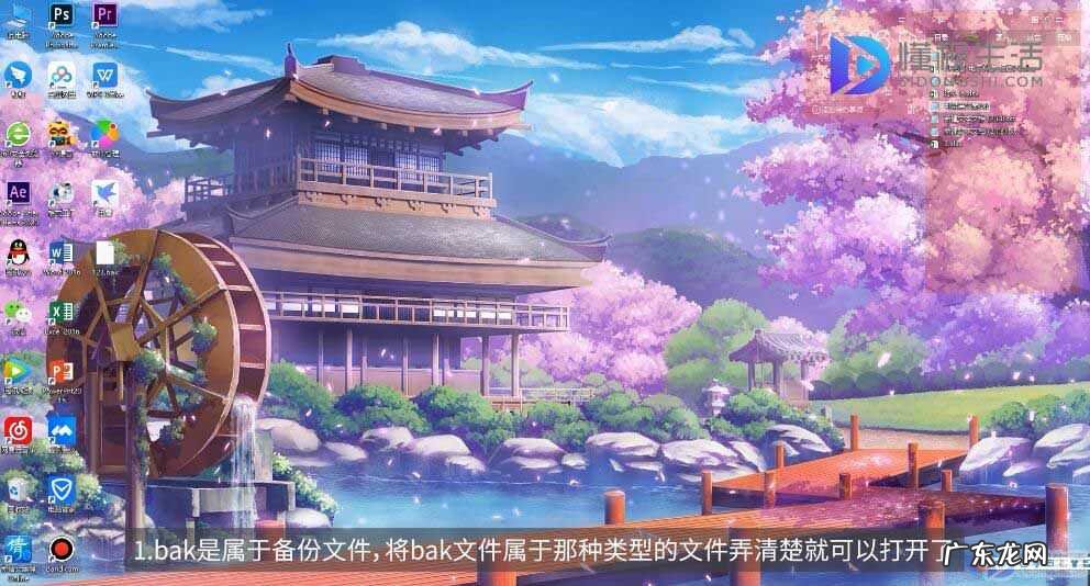 bak文件怎么还原? bak文件怎么打开
