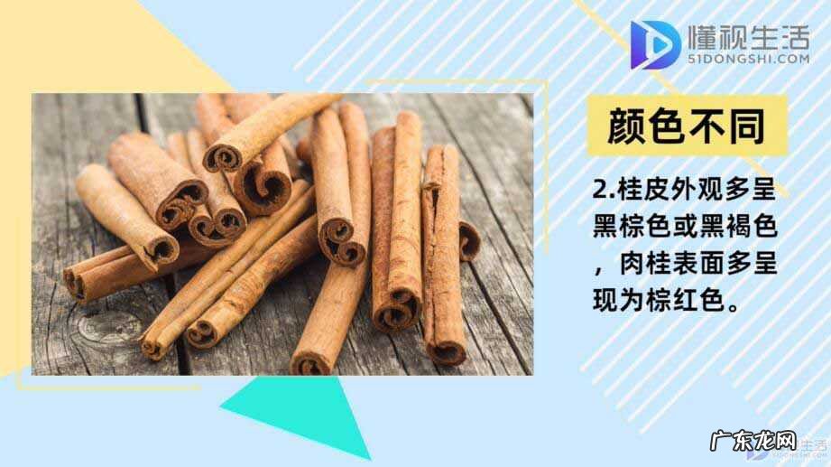 肉桂对男性性功能的效果? 肉桂和桂皮的区别