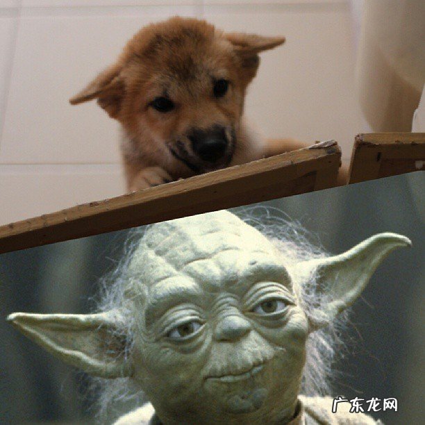 呼啦圈可以把腰围从19瘦到16么？