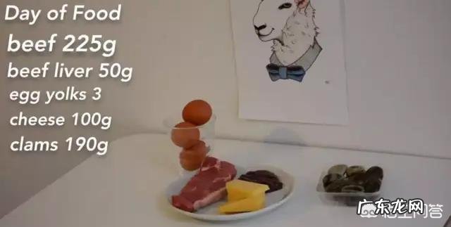 生酮减肥法真的能“减脂”吗？