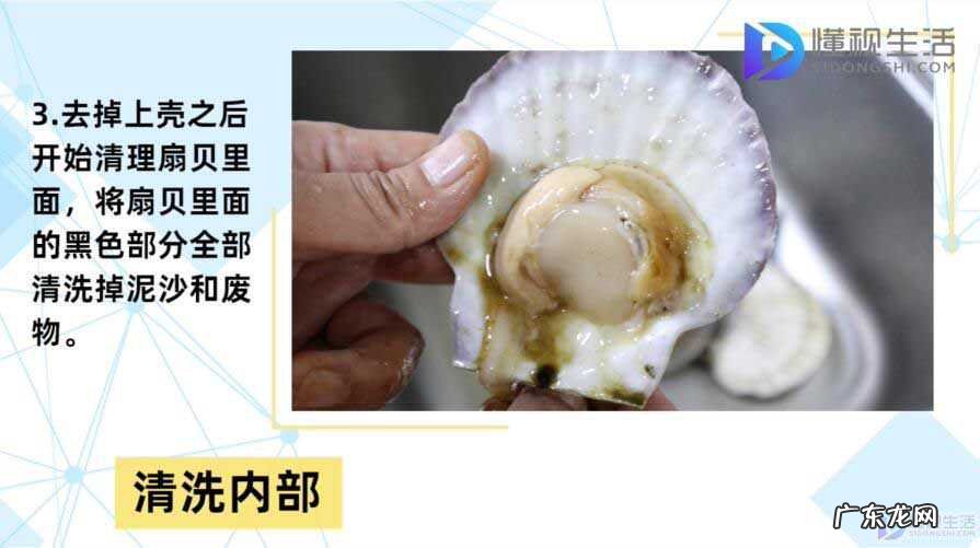扇贝怎么清洗