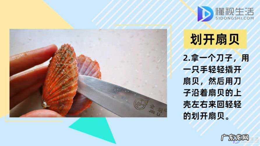 扇贝怎么清洗