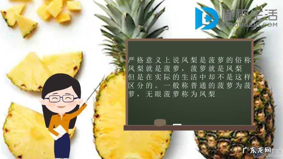 菠萝与凤梨是同一种水果吗? 菠萝和凤梨的区别