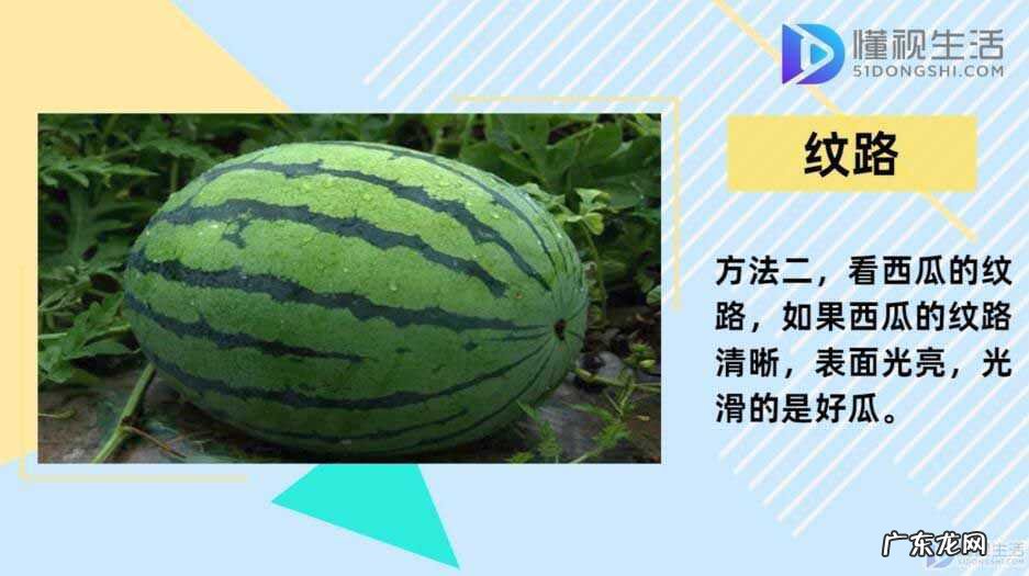 如何正确挑选西瓜？ 西瓜怎么挑