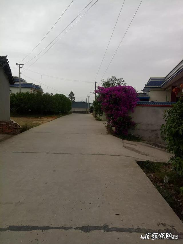 你想看什么样的生活视频?