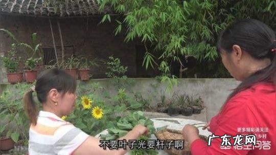 你想看什么样的生活视频?