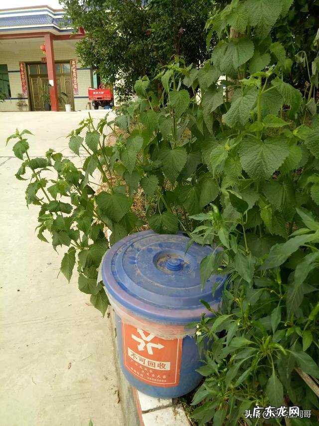 你想看什么样的生活视频?