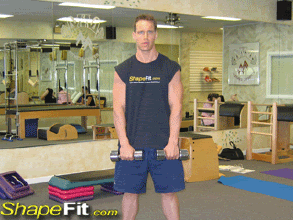 如何划分肉鸭的生长发育阶段？