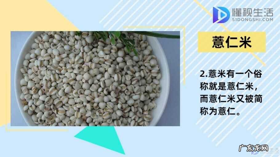 红豆薏米越喝湿气越重? 薏米和薏仁有什么区别